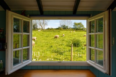 Het belang van horren voor een comfortabele en insectenvrije woning